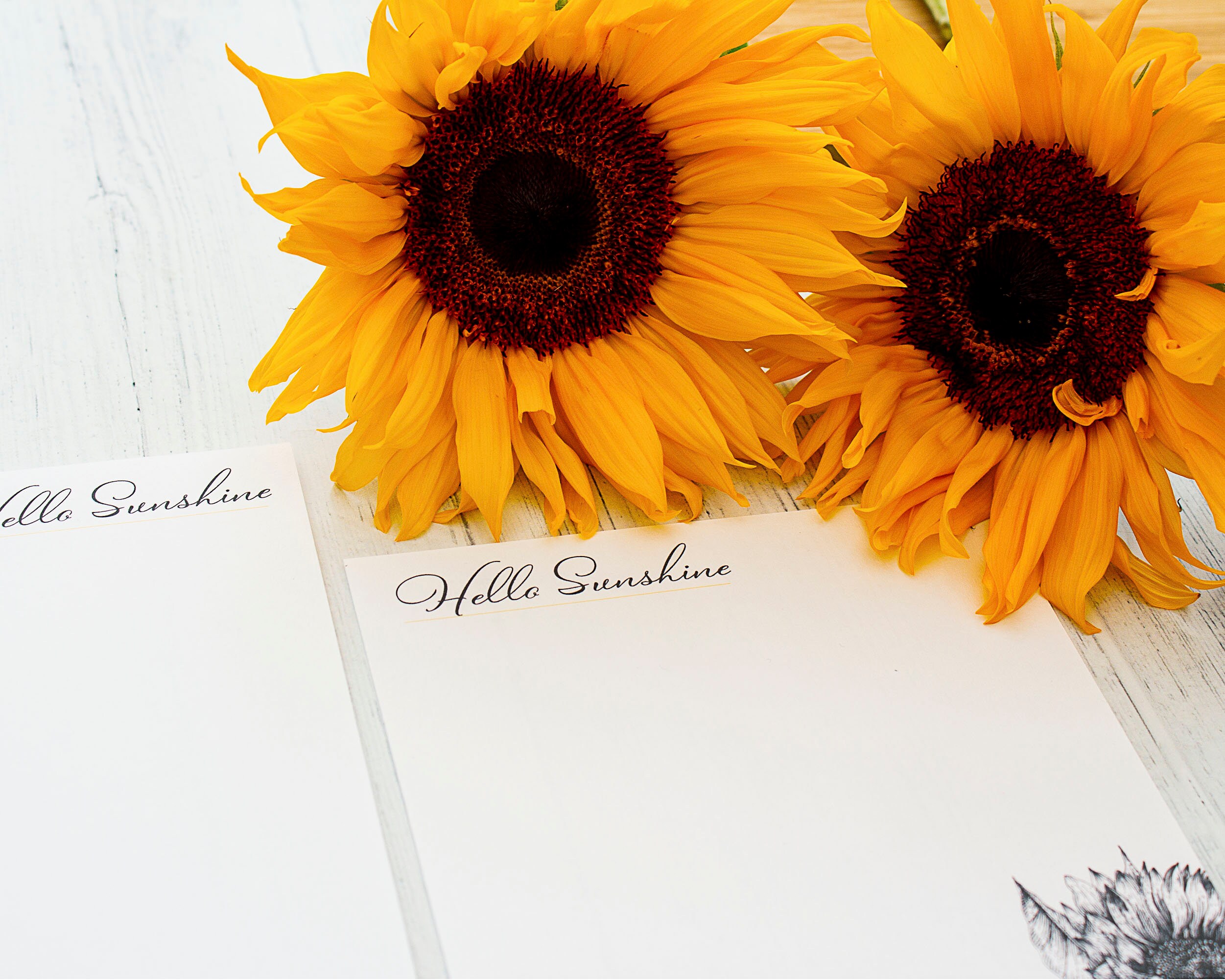 Sunflower Letter Set Botanical Writing Set with Envelopes Etsy
