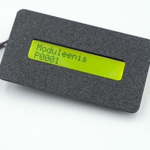 Op de afbeelding: Een rechthoekig zwart elektronisch apparaat met een heldergroen beeldscherm. Het scherm toont de tekst "Moduleenis" en "P0001". Draden komen uit het apparaat.