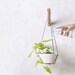 Haleh Short reviewed Plant Hanger, Wood Hanging Planter, Modern Macrame, Plant Holder, Grey Macrame Plant Holder,  Minimalist Planter, Boho Home, Indoor Planter,