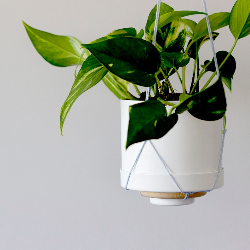 Plant Hanger Wood Hanging Planter Modern Macrame Plant image 1