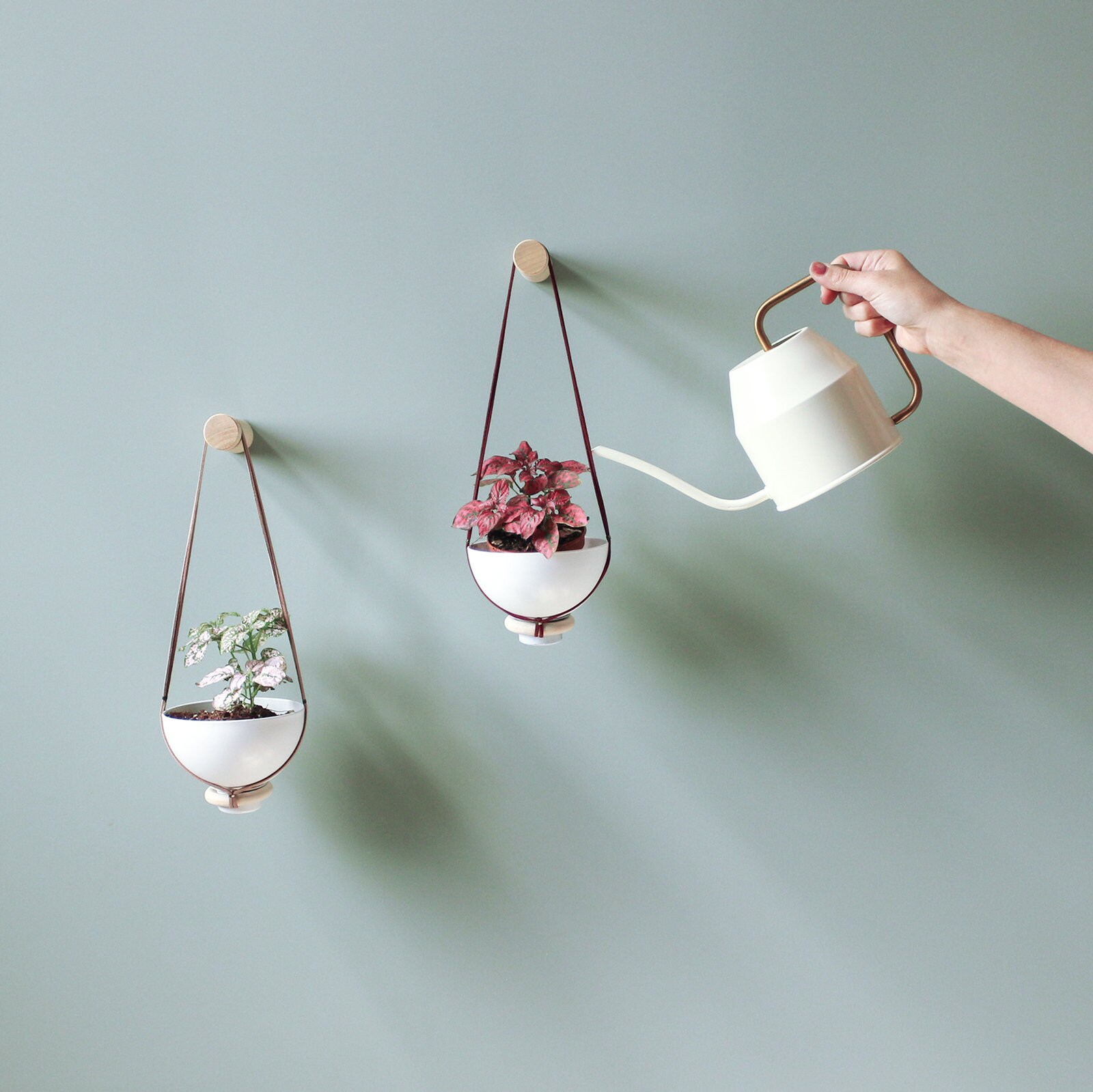 Jardinière Suspendue Pour Plantes Succulentes, Petit Cintre à Plantes, Jardinière d'intérieur, Décor