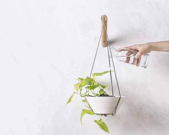 plant hanger wood hanging