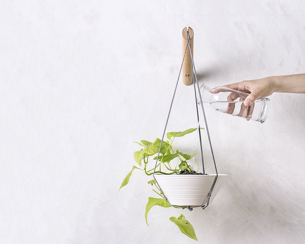 Cintre de Plante en Bois avec Fil Gris, Jardinière Suspendue Macramé Moderne, Cintre d'intérieur, Ci