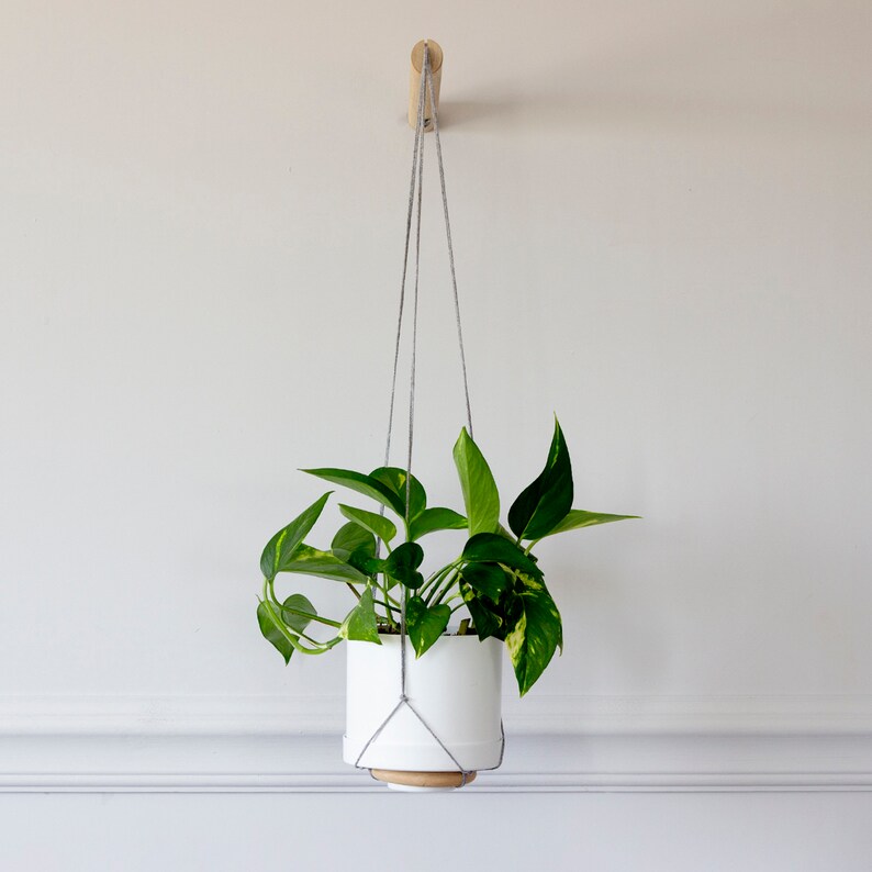 Plant Hanger Wood Hanging Planter Modern Macrame Plant image 4