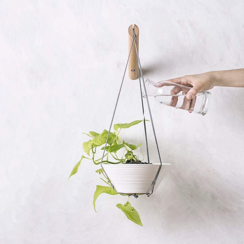 Plant Hanger Wood Hanging Planter Modern Macrame Plant image 3