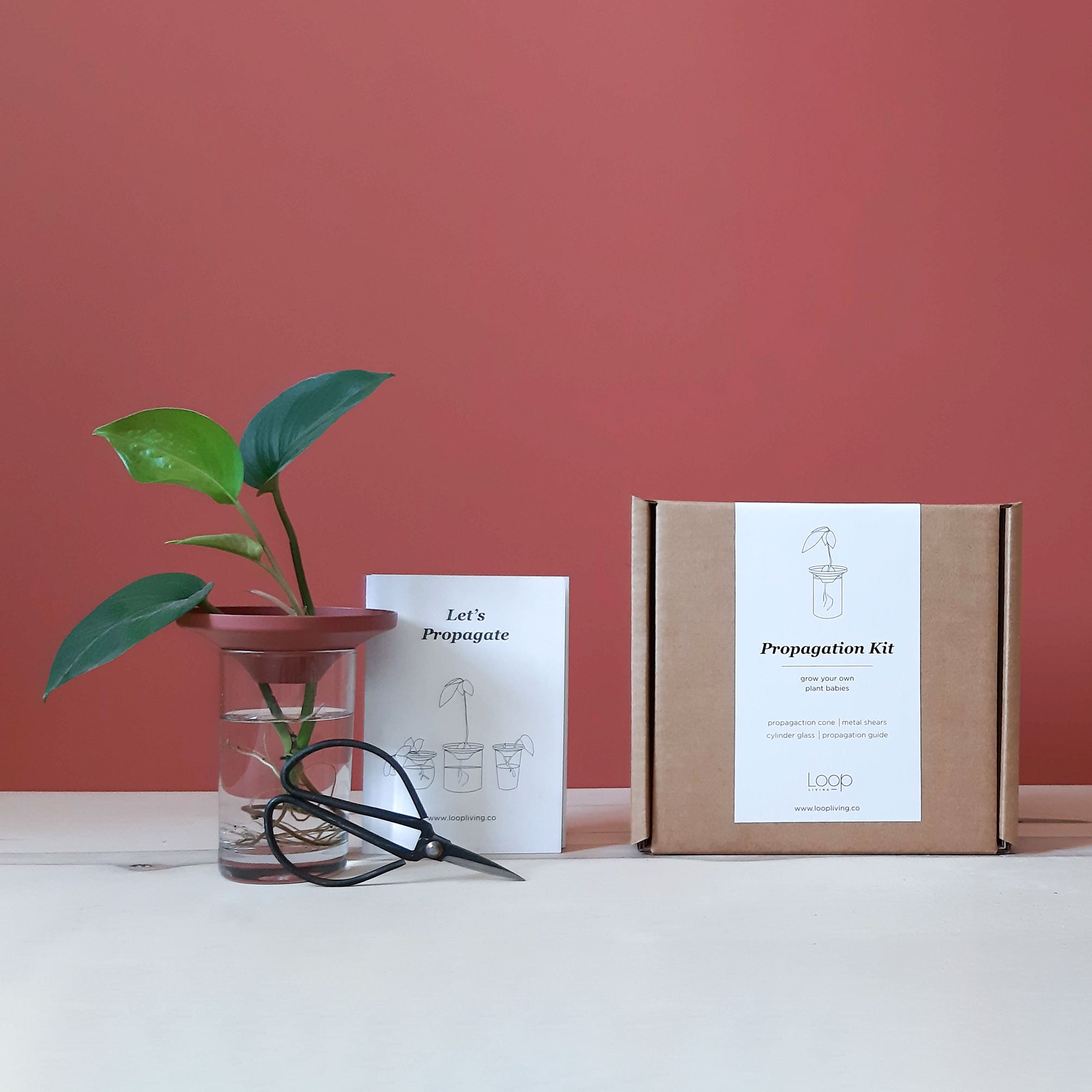 Cadeau de Plante, Kit Diy d'amoureux Station Propagation, Propagation d'usine, Ensemble Cadeau Plant