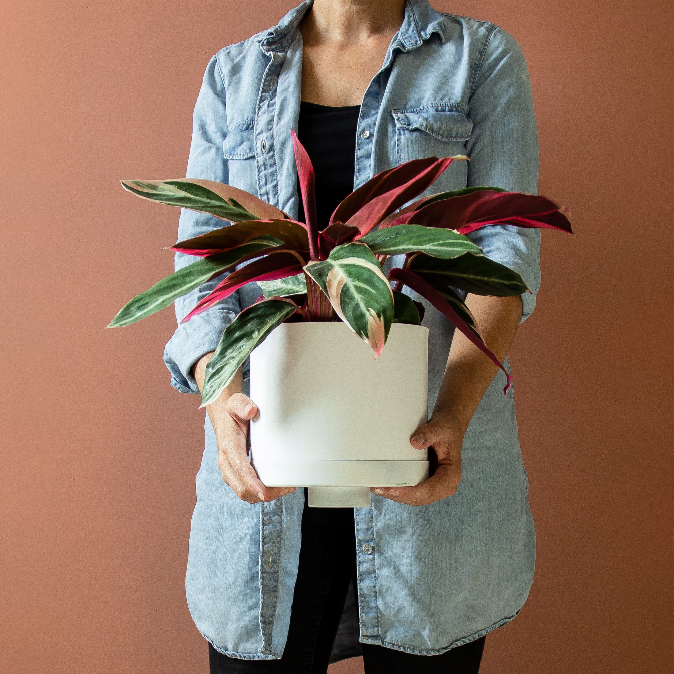 Planteur Intérieur Moderne, Pot de Plante, Planteur Blanc, d'auto-Arrosage