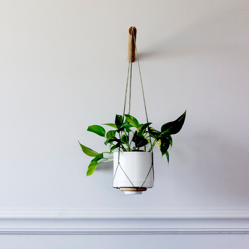 Plant Hanger Wood Hanging Planter Modern Macrame Plant image 9