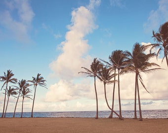 May include: A beach scene with palm trees swaying in the wind against a blue sky with white clouds. The ocean is in the background.