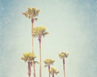 California Palm Tree Print: Vintage Beach Photography, Los Angeles Art