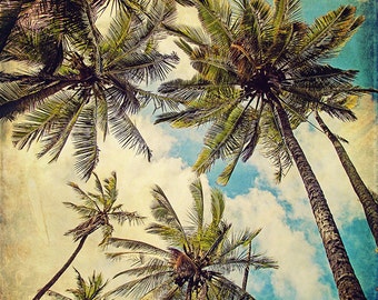 May include: A vintage-style image of palm trees against a blue sky with white clouds. The image has a faded, textured look, giving it a retro feel.