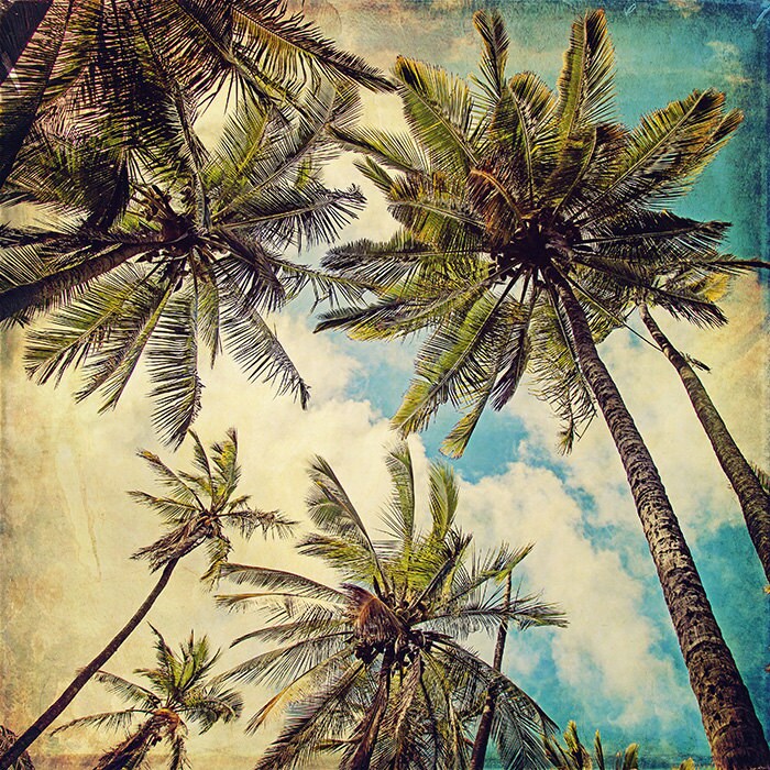 Palm Tree Beach Decor Kauai Wall Art Print Vintage Hawaii Etsy