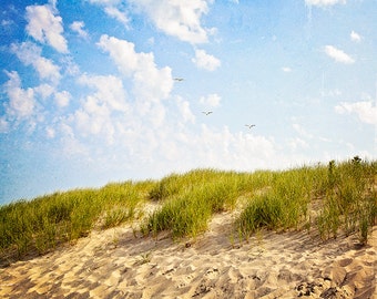 New Buffalo Beach Nature Photography | Michigan Summer Sand Dunes | Blue Sky Green Grass Landscape Photo Print