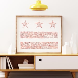 Pode incluir: Uma impressão emoldurada com um design vermelho e branco. A obra de arte inclui o texto "Mumbo Sauce", "Cherry Blossoms" e "Potomac River Anacostia". O design incorpora várias palavras relacionadas a Washington, D.C., dispostas na forma da bandeira da cidade.
