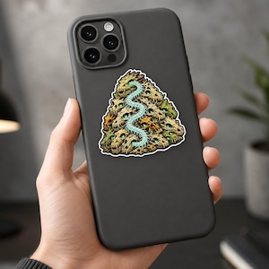 May include: A matte black smartphone case featuring a triangular sticker design of a pile of tan and green skulls with glowing teal eye sockets, intertwined with a long, segmented, light blue centipede-like creature winding through the bones.