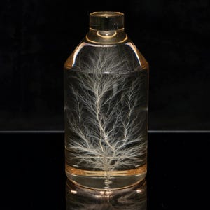 Rayo congelado en botella acrílica – Escultura de figura de Lichtenberg / Regalo de decoración científica (5 x 10 cm)