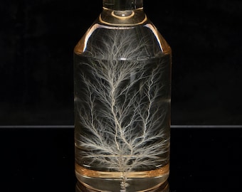 Frozen Lightning in Acrylic Bottle – Lichtenberg Figure Sculpture | Science Decor Gift (2"x4" / 5x10 cm)