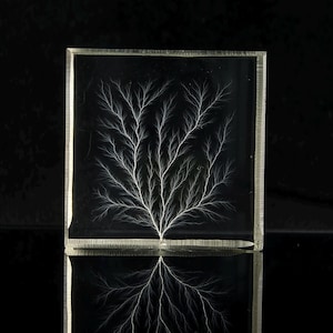 Puede incluir: Un bloque de vidrio transparente y cuadrado con un patrón blanco ramificado que se asemeja a un rayo o un árbol. El diseño está centrado sobre un fondo negro, con un reflejo especular debajo. Los bordes del vidrio están ligeramente iluminados.