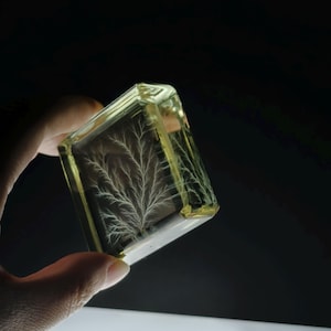 May include: A clear, rectangular glass block with a yellow tint, showcasing a white, branching Lichtenberg figure. The intricate pattern resembles a lightning strike. The block is held against a dark background.