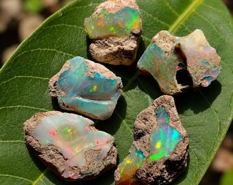 May include: Five rough opal gemstones with vibrant iridescent colors of green, blue, yellow, and red. The opals are set against a backdrop of a green leaf. The opals have a rough, natural texture and are surrounded by a brown matrix.