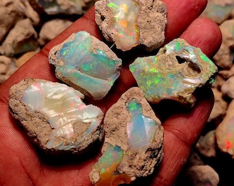 May include: Five raw opal gemstones with vibrant iridescent colors of green, blue, orange, and yellow. The opals are set in a rough, brown matrix. The gemstones are held in a hand.