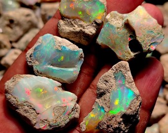 May include: Four rough, unpolished opal stones with irregular, jagged edges. Each stone features a light, earthy, tan-colored rock matrix embedded with vibrant, iridescent flashes of neon green, bright blue, and fiery orange light play.