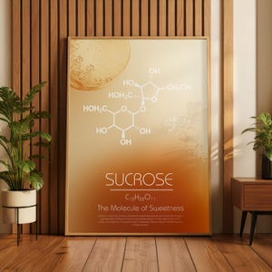 May include: A framed poster with a gradient background of orange and yellow, featuring the chemical structure of sucrose. The word "SUCROSE" is displayed prominently, along with "C12H22O11" and "The Molecule of Sweetness". The poster is in a room with wood paneling.
