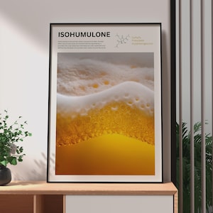 Puede incluir: Una lámina enmarcada titulada ISOHUMULONE que presenta un diagrama de estructura química, texto descriptivo y una fotografía en primer plano de cerveza dorada cubierta por una espesa capa de espuma blanca con burbujas visibles.