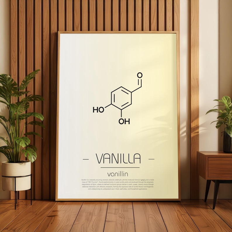 May include: A framed print featuring the molecular structure of vanillin, the primary component of vanilla. The black and white graphic is set against a gradient background, with the word "VANILLA" and "vanillin" below. The print is displayed in a room with wood paneling.