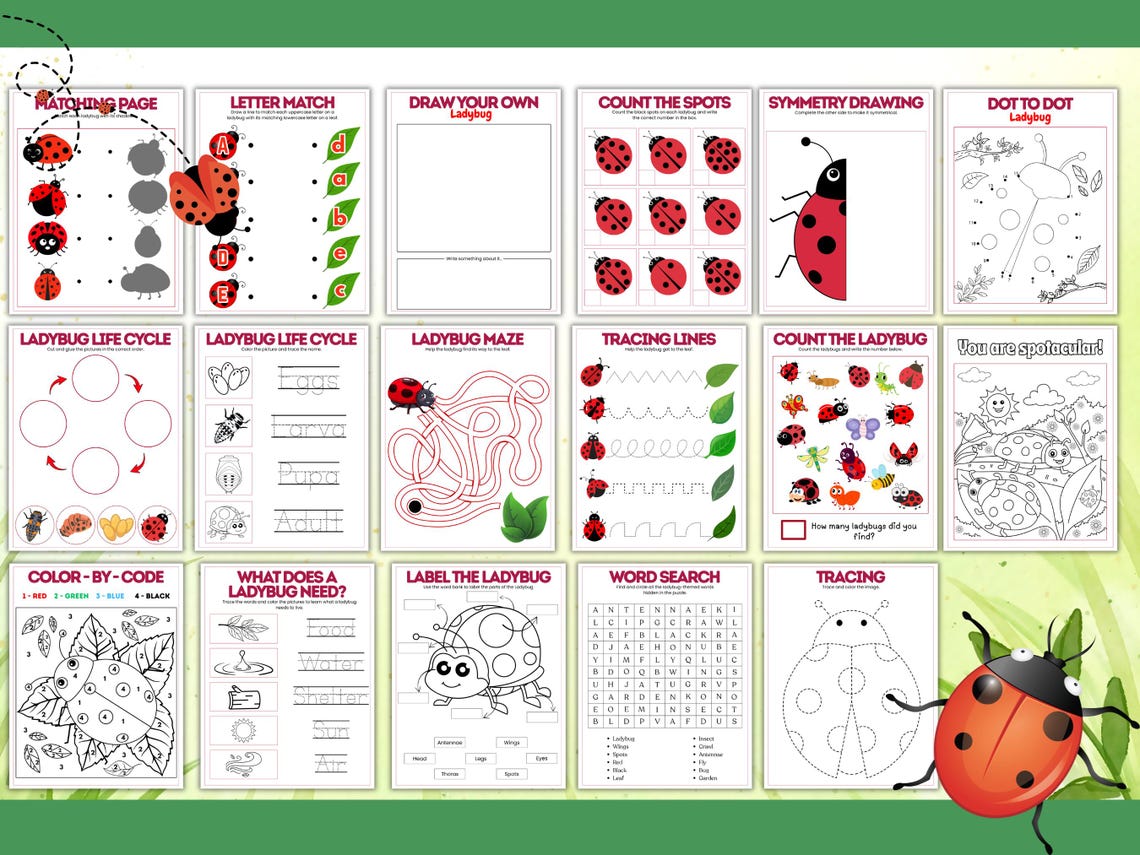 Ladybug Life Cycle Activities Printable Worksheets for Kids Science ...