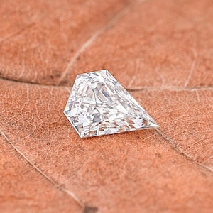 Könnte beinhalten: Ein facettierter, farbloser Diamant mit einer einzigartigen geometrischen Form liegt auf einem strukturierten, braunen Blatt. Die Facetten des Diamanten reflektieren das Licht und erzeugen einen funkelnden Effekt. Die Blattoberfläche zeigt komplizierte Adern.