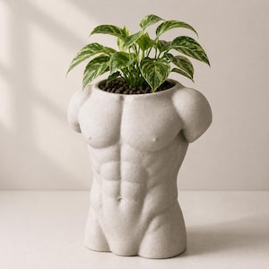 May include: A light gray, sculpted planter in the shape of a muscular male torso. The planter holds a green plant with variegated leaves. The planter has detailed definition of the chest and abdominal muscles.