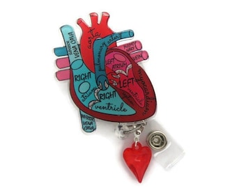 May include: Anatomy-themed badge reel featuring a detailed illustration of a human heart. The heart is depicted in red, blue, and pink, with labeled anatomical parts. A small, red heart charm dangles below. The reel has a clear plastic backing.