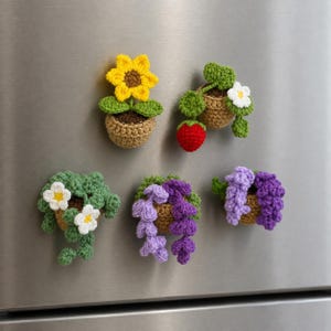 Juego de mini imanes de nevera con forma de planta de ganchillo, decoración botánica de cocina hecha a mano, regalo bohemio para mamá, maceta adorable, regalo para amantes de las plantas