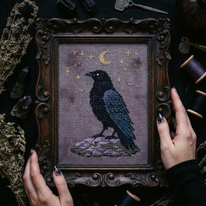 May include: A framed cross-stitch featuring a black raven perched on a rock under a crescent moon and stars. The raven has blue-grey wing details. The frame is dark brown with ornate detailing. The background is a muted purple color.