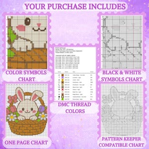 May include: A digital cross-stitch pattern set featuring a rabbit in a basket with flowers. Includes a color symbols chart, black and white symbols chart, a one-page chart, a pattern keeper compatible chart, and a DMC thread color list with 21 colors.