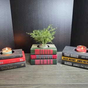 Puede incluir: Tres pilas de libros de tapa dura reutilizados como portavelas y macetero. La pila izquierda presenta títulos de Mark Richard Zubro, R.L. Stine y Harry Turtledove. La pila derecha incluye novelas de James Patterson. Una pequeña planta verde se encuentra en el centro.