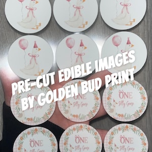 May include: A collection of pre-cut edible images. The top row features a goose with a party hat and a pink balloon. The bottom row has floral wreath designs with the text "ONE Silly Goose". The text "PRE-CUT EDIBLE IMAGES BY GOLDEN BUD PRINT" is also visible.