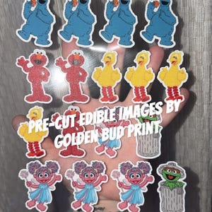 May include: Pre-cut edible images featuring Sesame Street characters, including Cookie Monster, Elmo, Big Bird, and others. The images are in various colors and designs, perfect for decorating cakes and cupcakes. Text on the image reads "PRE-CUT EDIBLE IMAGES BY GOLDEN BUD PRINT."
