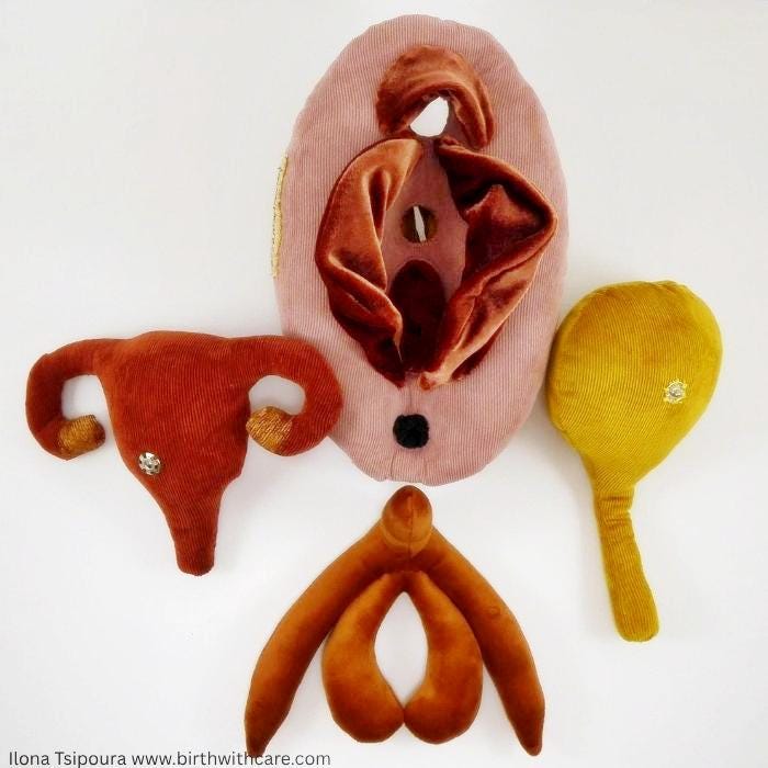 Birthing Sex Toy