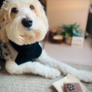 Bowie's Good Dog bath bar