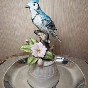 Blue jay music box - Etsy 日本 Blue jay music box - Etsy 日本