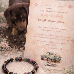 Dachshund Devotion Bracelet Collection