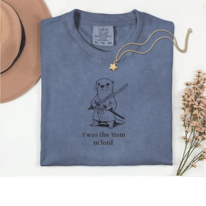May include: A blue t-shirt with a graphic of an otter holding two swords, with the text "t'was the 'tism m'lord" below the graphic. A gold star pendant necklace and a brown hat are also in the image.