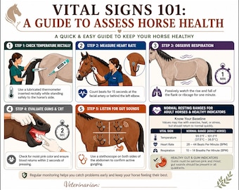 Horse Vital Signs Chart Printable, Horse Health Checklist PDF, Equine Emergency Guide, Grooming Reference, Barn Printable, Horse Care Guide
