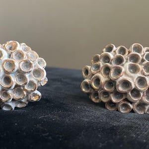 Puede incluir: Dos objetos decorativos de forma orgánica. Cada uno tiene una base blanca con numerosas aberturas circulares, acentuadas con bordes dorados. Los objetos se exhiben sobre una superficie oscura, con un fondo neutro.