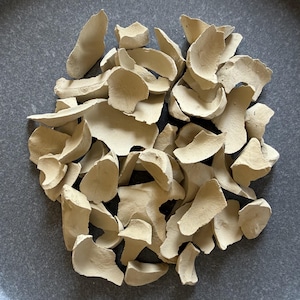 May include: A collection of numerous irregular, light beige clay shards with matte, textured surfaces. The pieces vary in size and shape, featuring curved and flat edges with a porous appearance, scattered together in a dense, clustered arrangement.