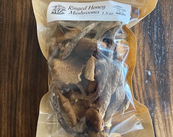 Dried Ringed honey mushrooms wild harvested  1.5 ounces virgina mountains