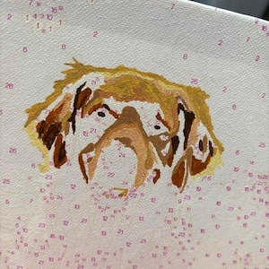 May include: A paint-by-number canvas featuring a partially completed portrait of a dog. The image displays shades of golden, tan, and dark brown paint applied to the head and ears, surrounded by numerous small printed numbers and dots.