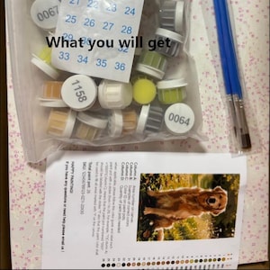 May include: A paint-by-number kit containing a clear plastic bag filled with small, numbered paint pots, a sheet of numbered stickers, two blue-handled paintbrushes, and an instruction guide featuring a picture of a golden retriever dog.